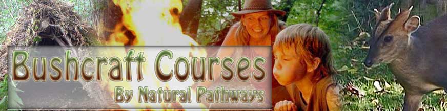 Bushcraft & Survival Courses