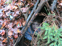 Well camoflaged in his shelter